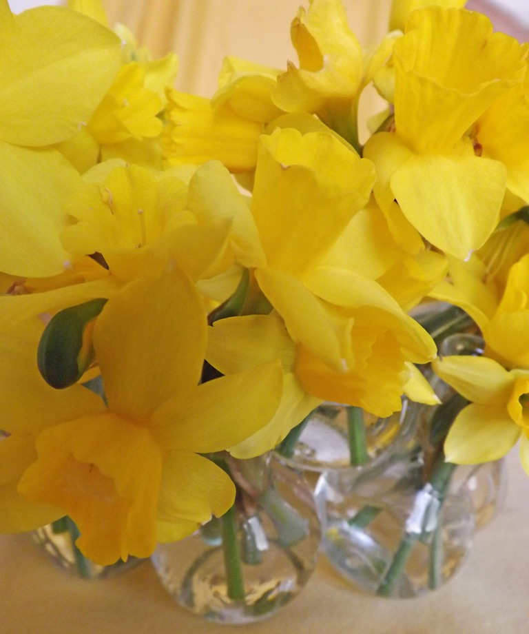MARIETTE'S BACK TO BASICS {JUST enough Daffodils to fill our CIRCLE Vase}