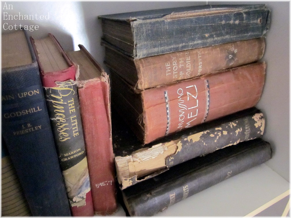 An Enchanted Cottage Craigslist Bookcase Score