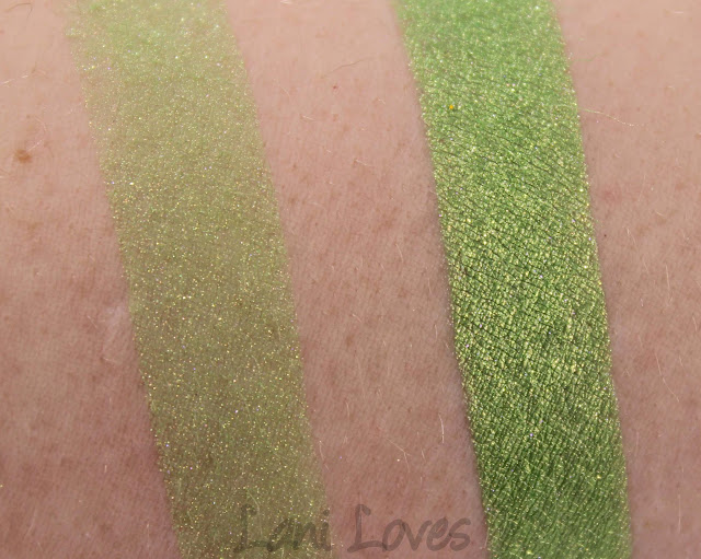 Notoriously Morbid Demented Eyeshadow Swatches & Review