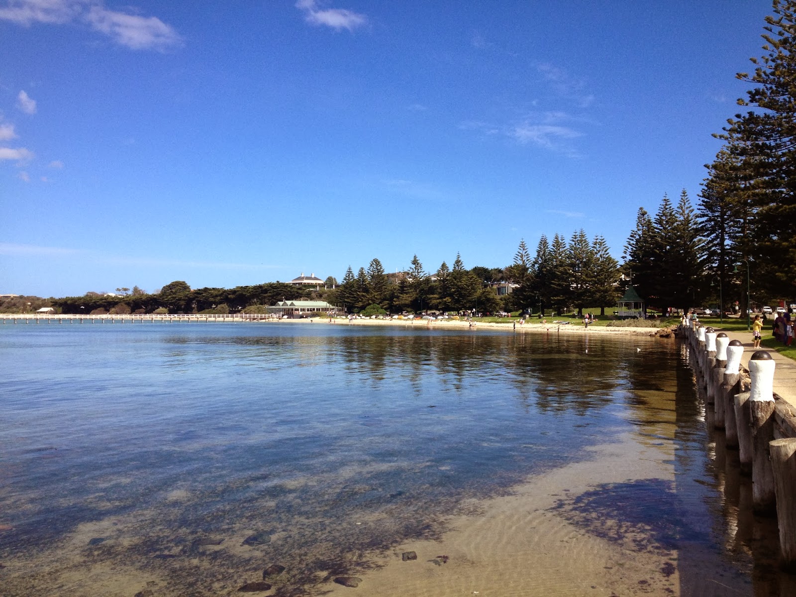 Tally Ho! Rattle Your Dags!