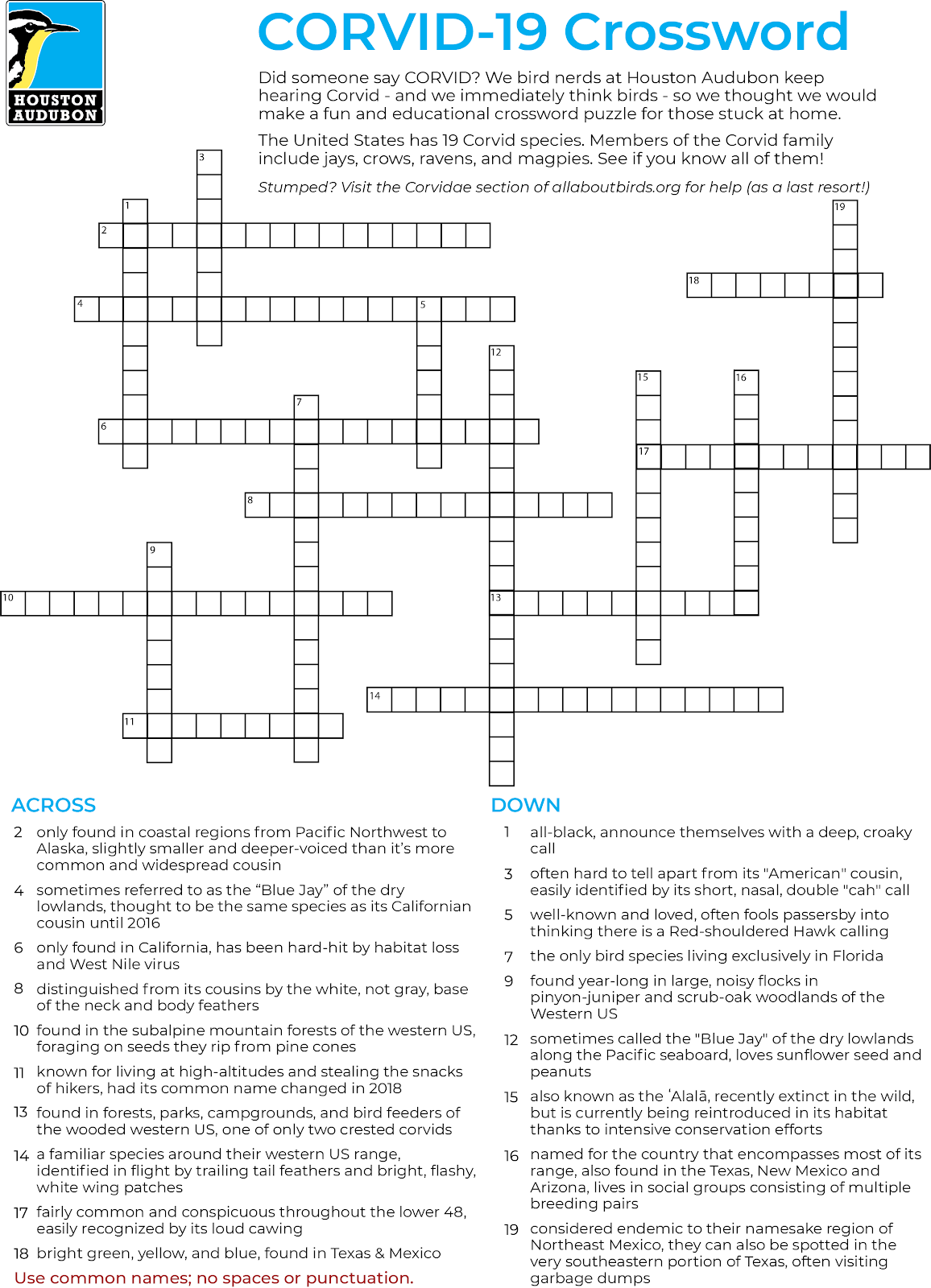 CORVID19 Crossword Puzzle