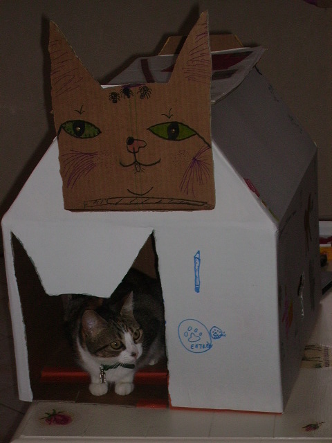 Les Nouvelles Routes De La Soie : Une Nouvelle Forme De Coopération