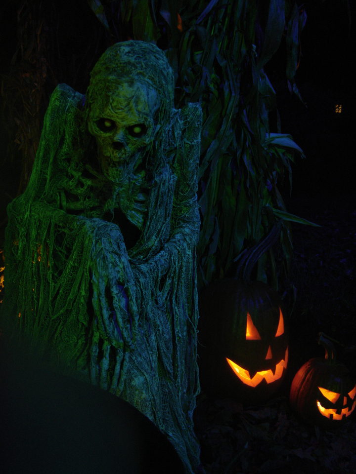 The Blog Pumpkinrot 2014 Halloween Horrors