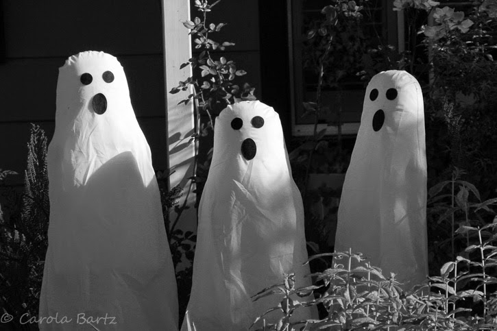 carola bARTz: (Not) Finding Halloween