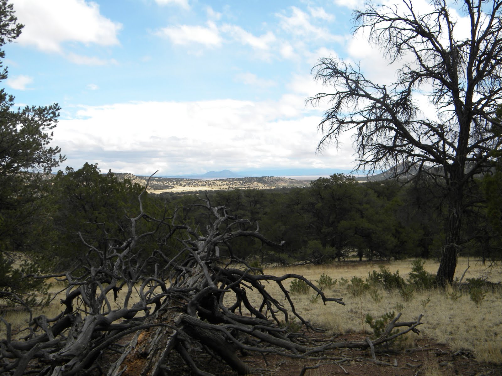 Adventurebound8 More of Datil, New Mexico