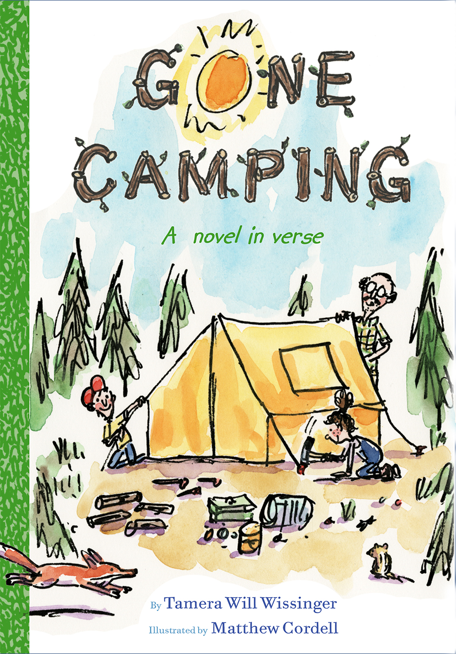 Camp go camping перевод. Campfire книги. Verse novel. Camp booklet. Книга о кемпинге.