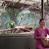 Teacher Thazin Aye Singapore Trip - Bird Park