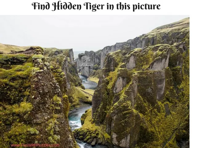 Hidden Tiger Picture Puzzle