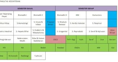Medical Student S Blog Sistem Pembelajaran Di Fk