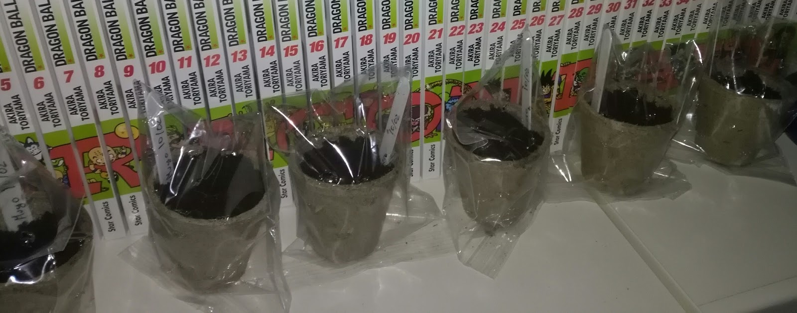 2 Istruzioni italiano Plant Theatre Bonsai Trio, Kit parte 2