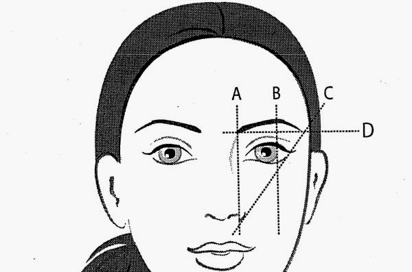 Правильные брови схема. Линия на брови. Внешний край брови схема. Правильное выщипывание бровей схема. Строение брови схема для обучения.