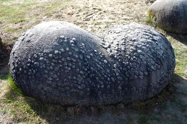 Trovants, Fenomena Batu Yang Bisa Tumbuh Berkembang ~ Cyber Seuramoe