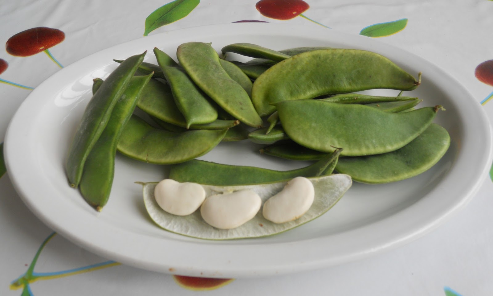 Globexs Valencia El Garrofón (γίγαντες, the butter bean)