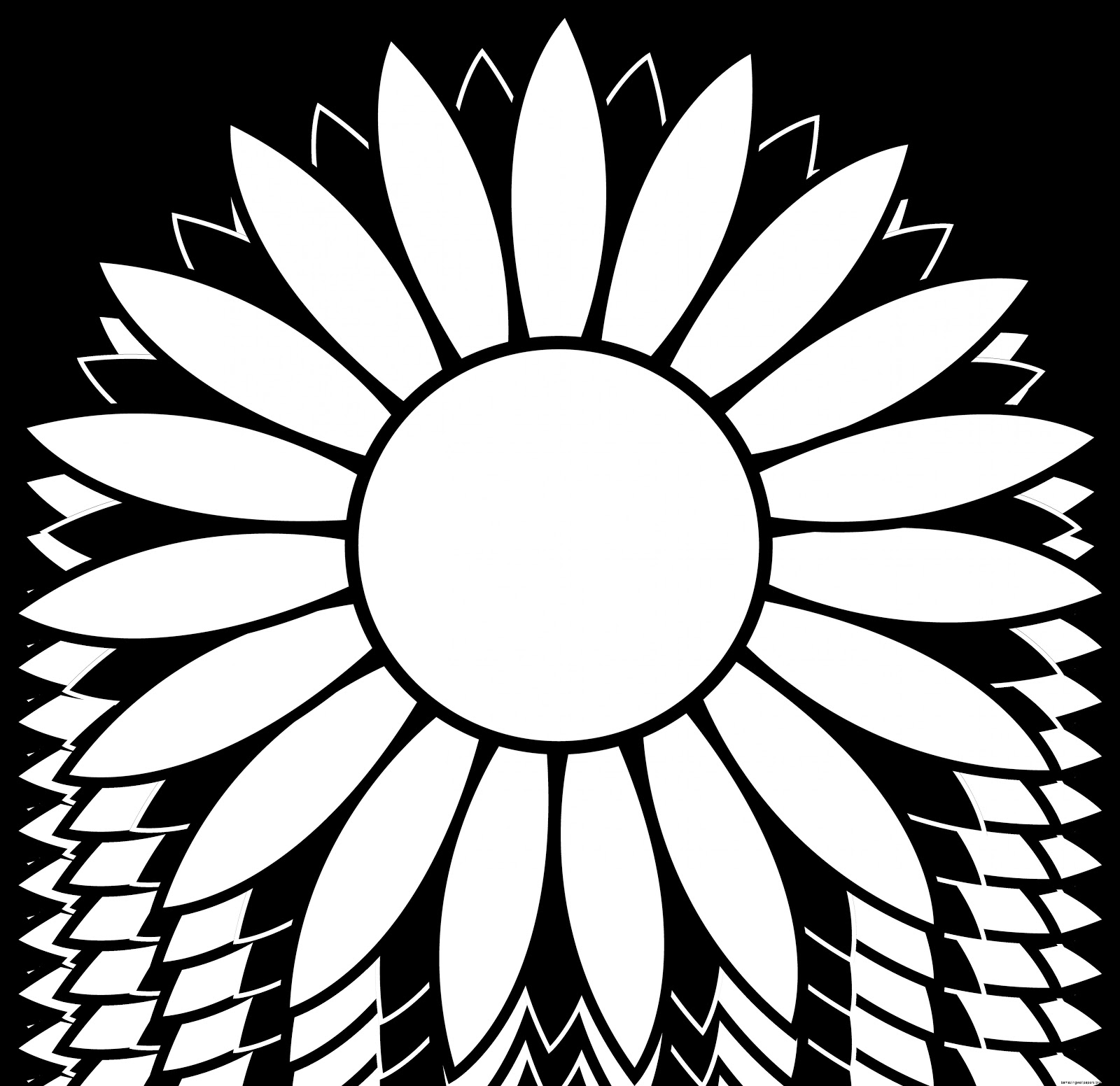Sunflowers Clip Art Black And White Amazing Wallpapers.