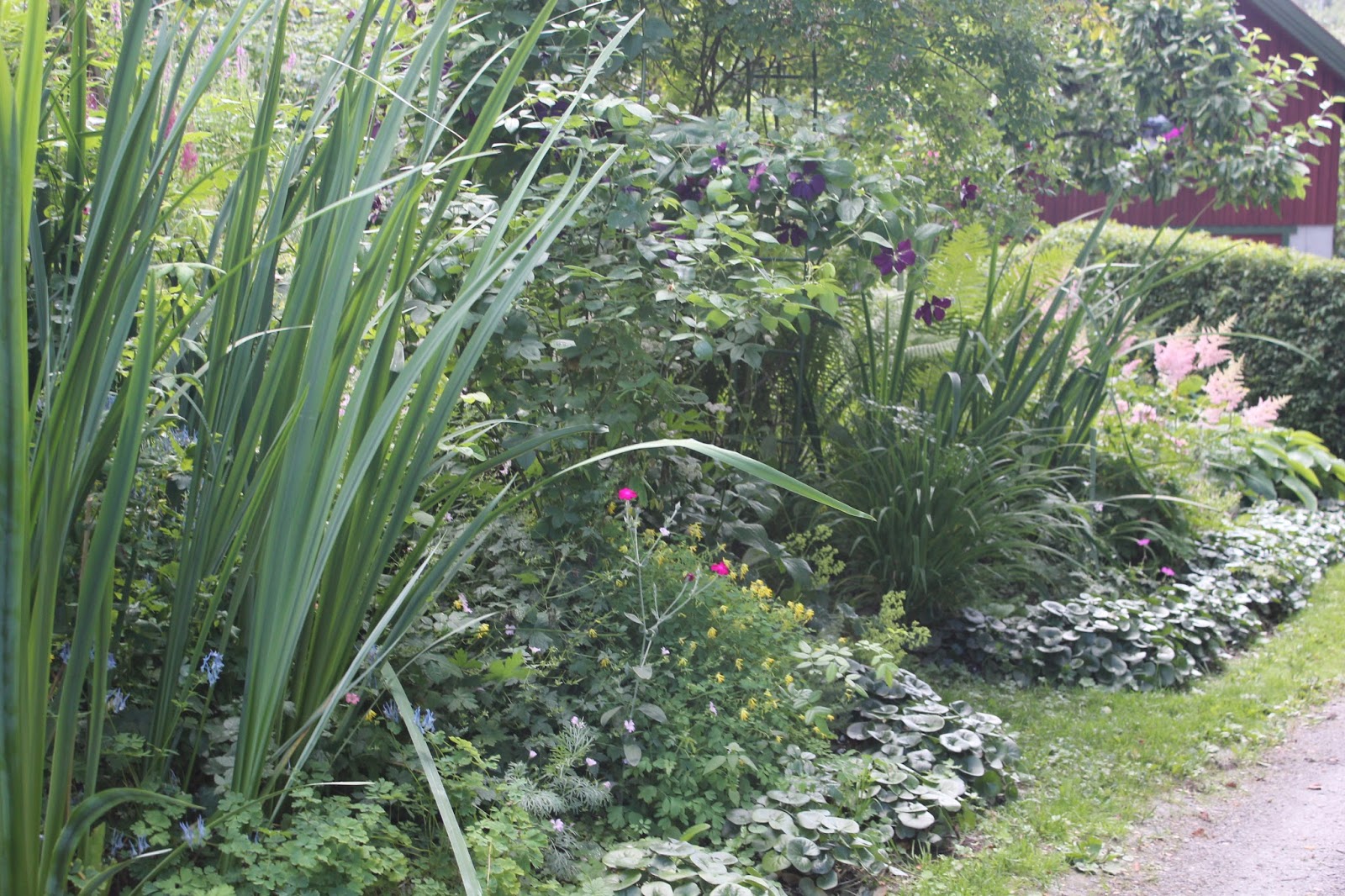 hagen vår Cottage garden på Toten hos Helene Fredholm