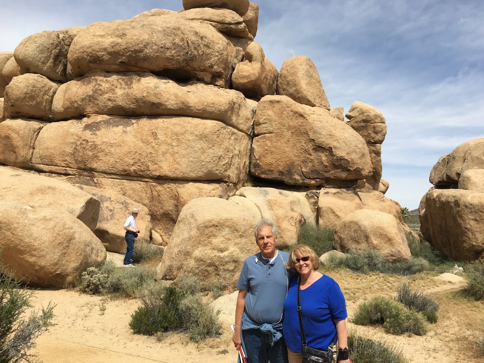 JOSHUA TREE NATIONAL PARK TOUR In One Day!!!! Hoffy Tours