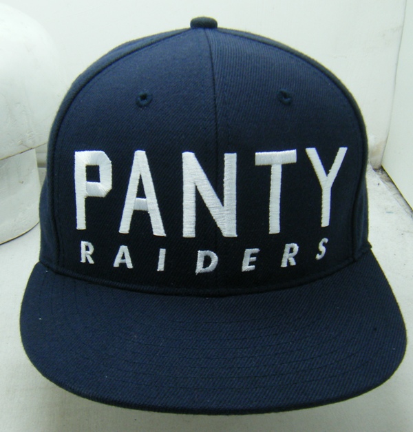 panty raiders USA "new york yankee" colorway