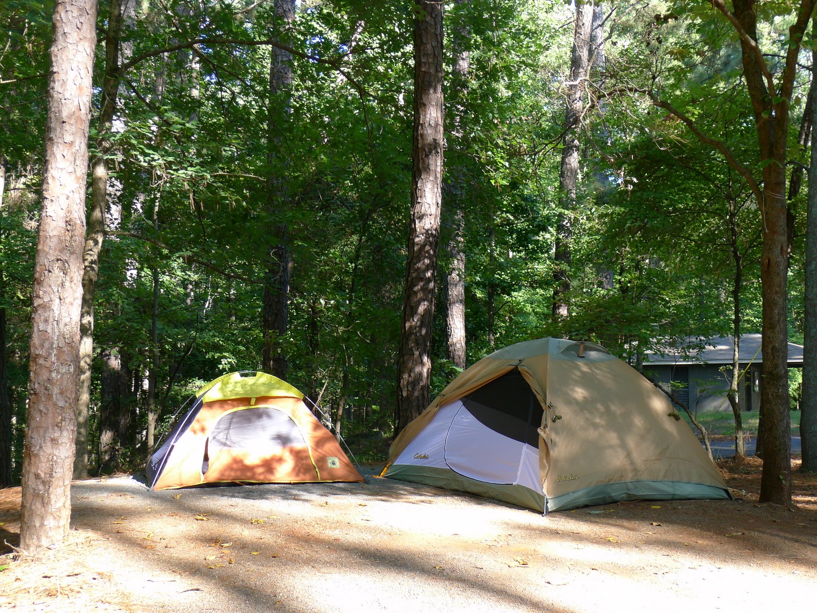 We are blogging: Red Top Mountain camping