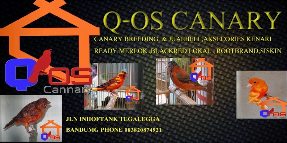 Q-os canary