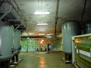 Бахмут. Завод шампанських вин. Підземне виносховище
