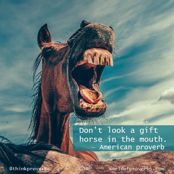 More American Proverbs