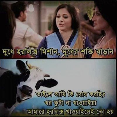 bengali funny images