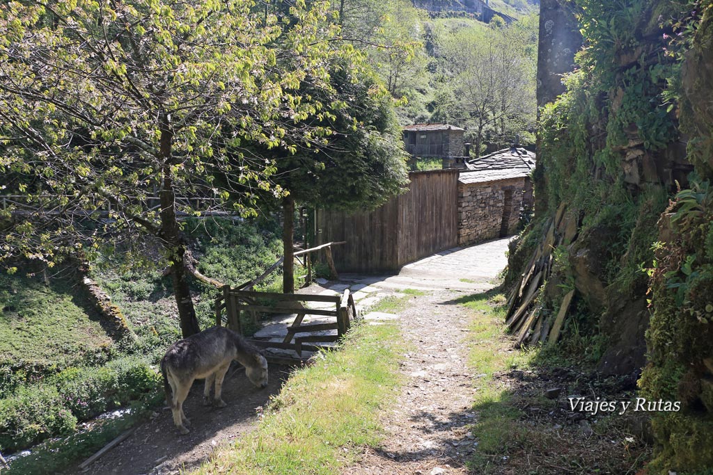 Bajada a Os Teixois, Taramundi, Asturias