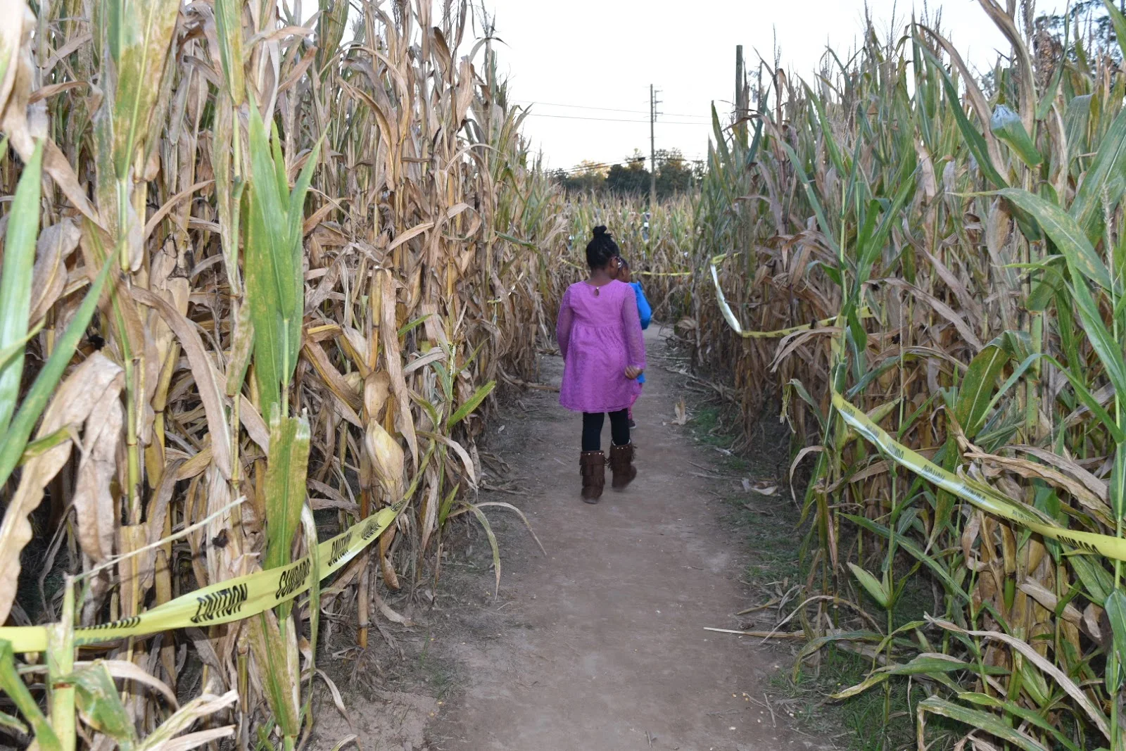 Running Around in a Corn Maze Sporting FabKids  via  www.productreviewmom.com