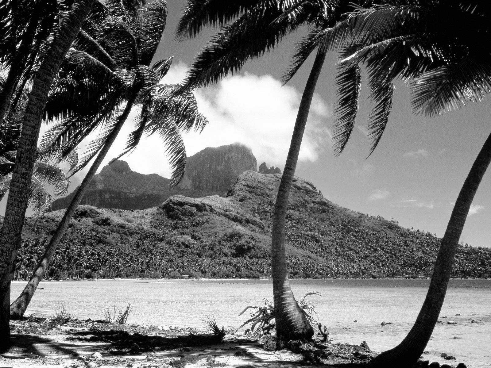 Black and White Wallpapers Black and White Beach Black and White Wallpapers Black and White Beach