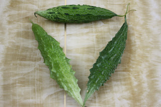 TERRACE GARDENING: My Terrace Garden