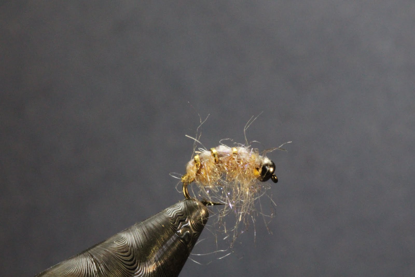 Fly Fishing and Fly Tying Scud or Sow Bug