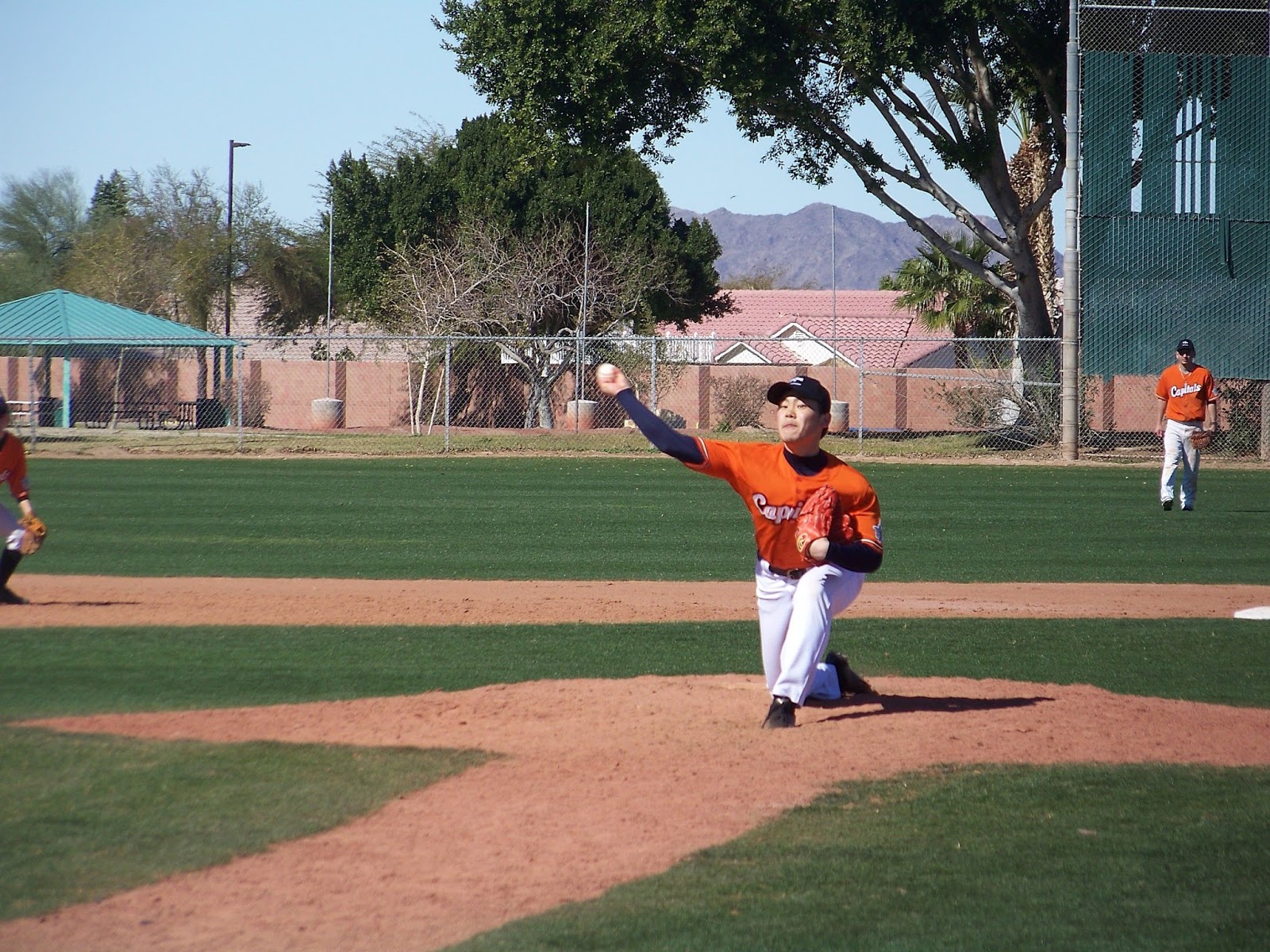 Japanese Baseball Cards Yuma, the Swallows and the Arizona Winter League