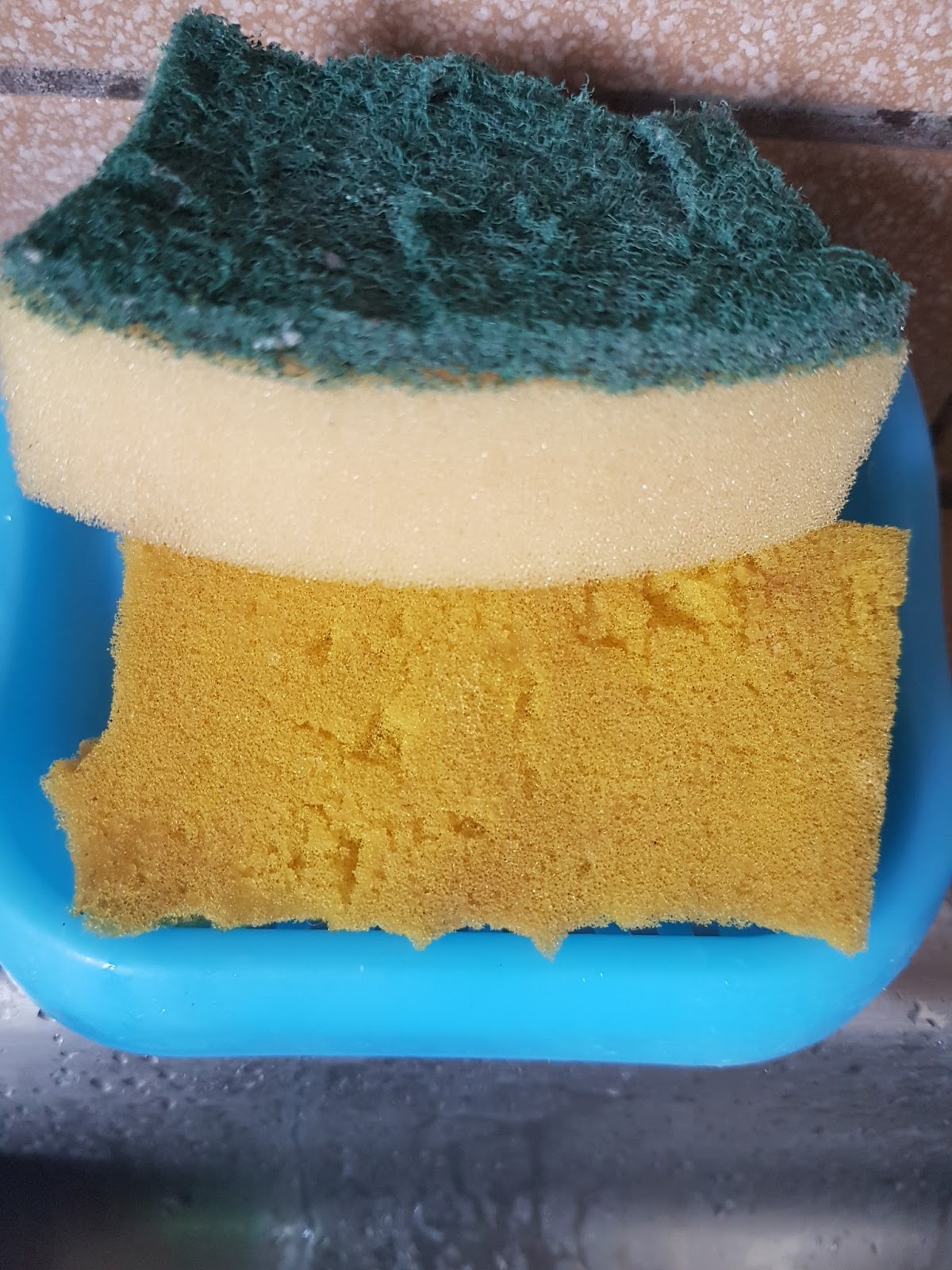 10 facts why dirty kitchen sponge causes infection The Trending Facts