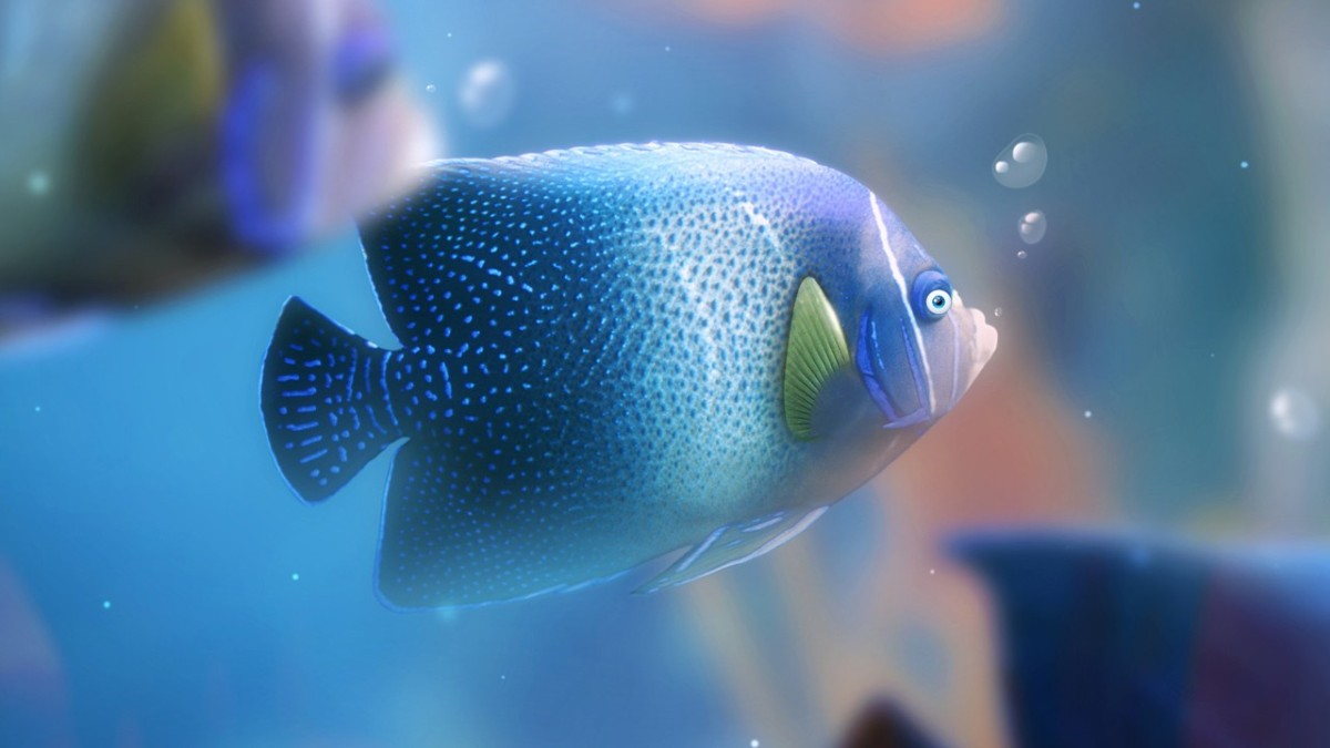 8 Pool Ball Game Online: Beautiful Fishes HD Wallpapers