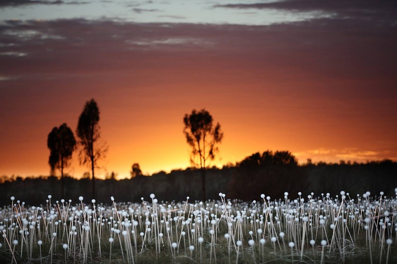 Field of Light Uluru | Bruce Munro