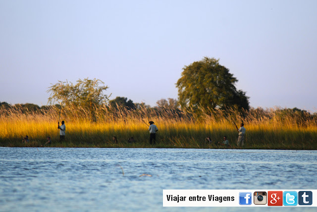 Visitar o DELTA DE OKAVANGO e explorar os seus canais | Botswana