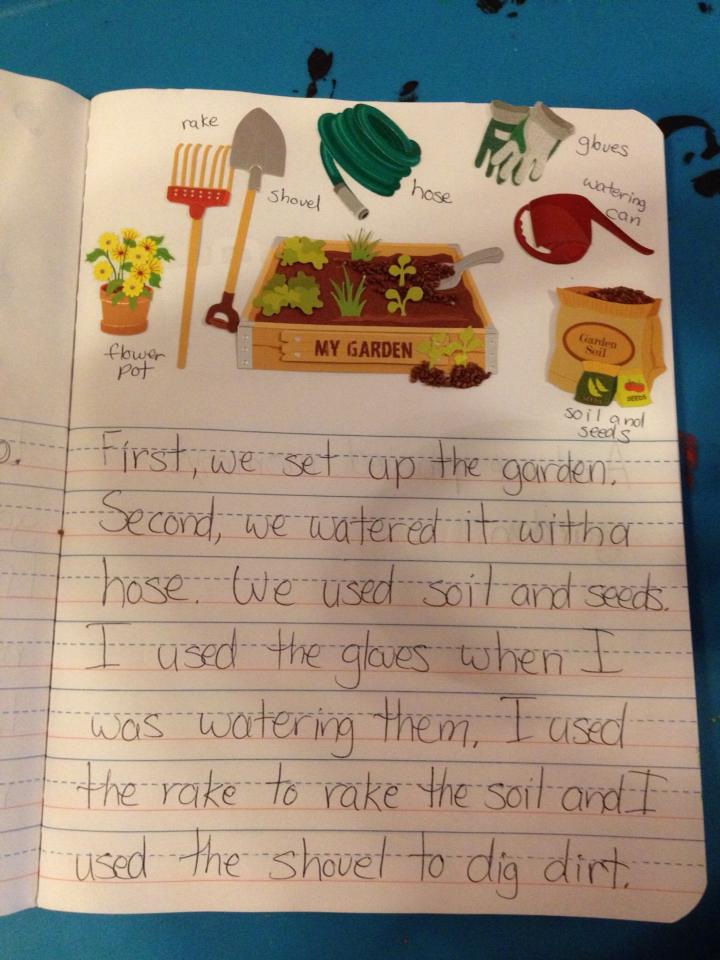 My Garden A Short Story See the Stars