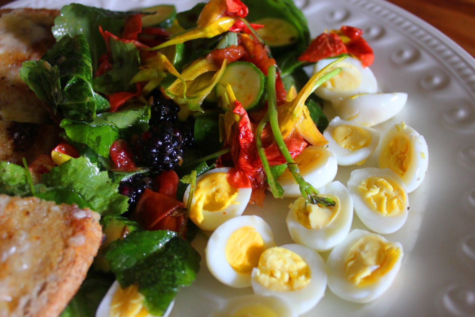 Hen teaches quail chicks to forage and how we free-range them. Hatching