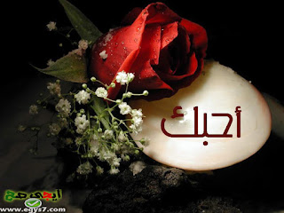 اجمل الصور المتنوعة ، اجمل الصور ، صور الكوكتيلات اجمل الصور المتنوعة ، اجمل الصور ، صور الكوكتيلات