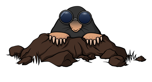 Rust en Ruimte in Hoofd en Huis: Dag 200- kennismakingsgesprek met