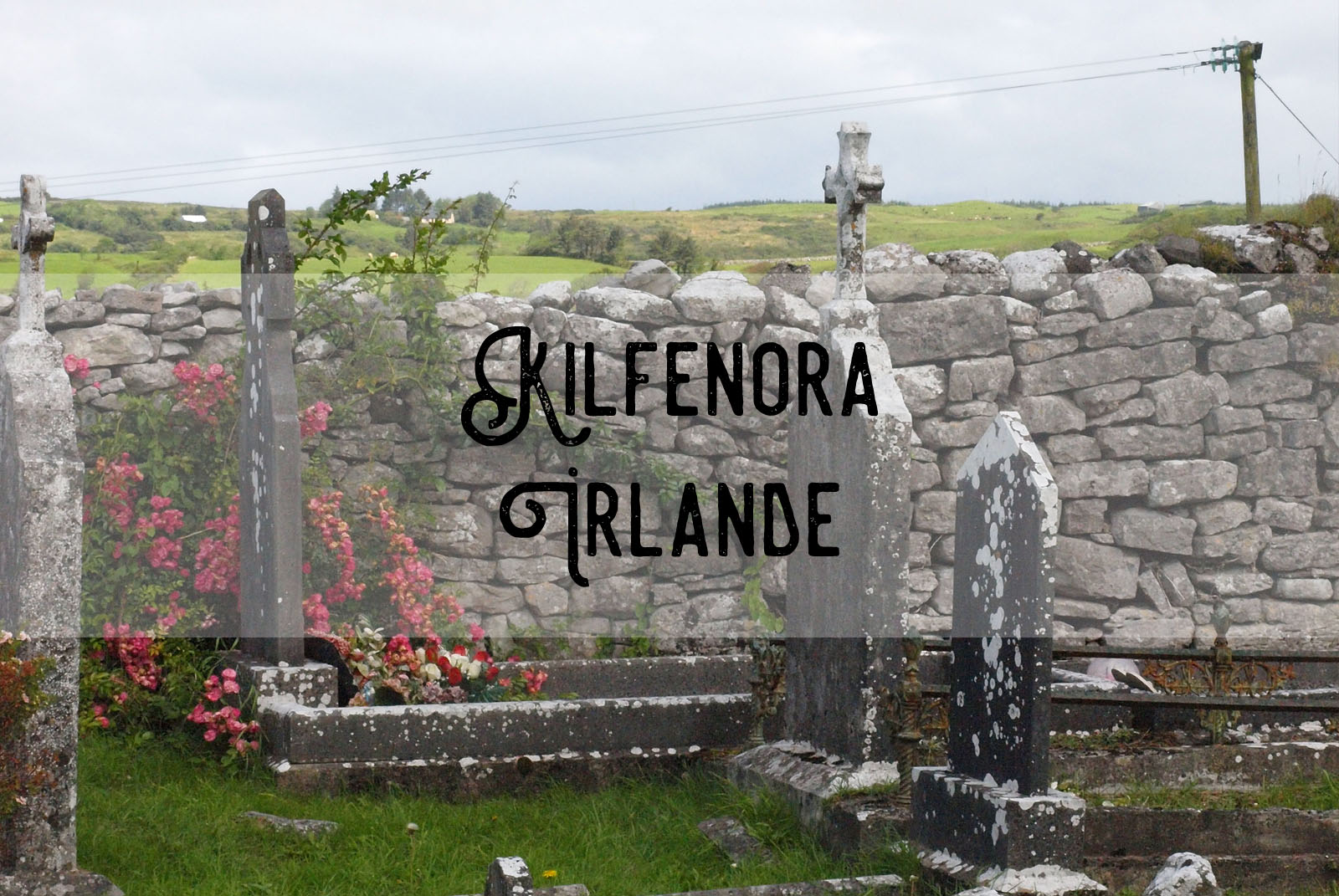 Le jardin des allongés CATHEDRALE SAINTFACHANAN DE KILFENORA / Irlande