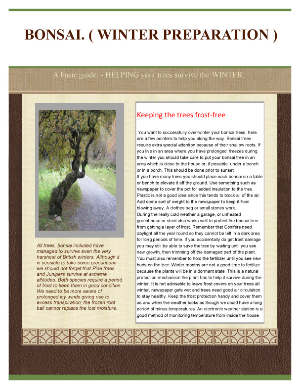 Wirral Bonsai Society Winter Preperation