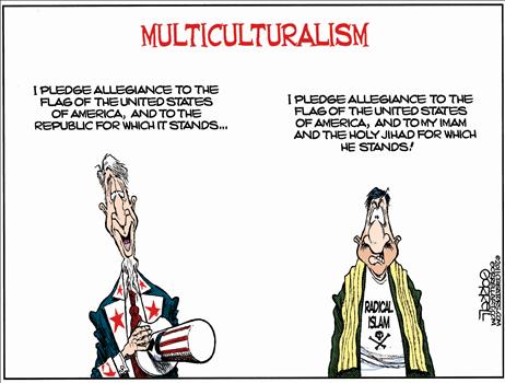 Image result for multiculturalism cartoons