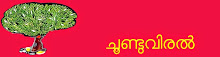 ചൂണ്ടുവിരല്‍