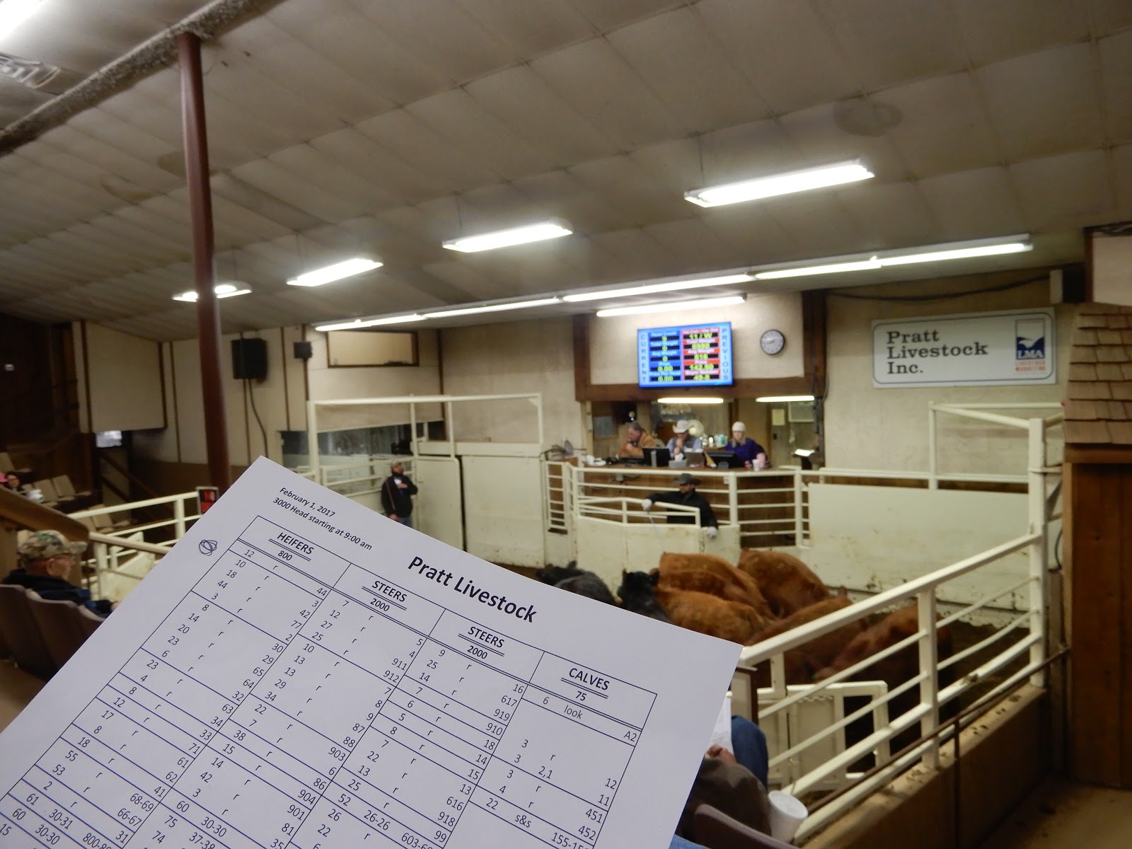 Kim S County Line Fancy Hair And Good And Green