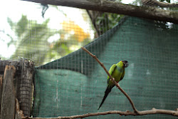 cape town adventures