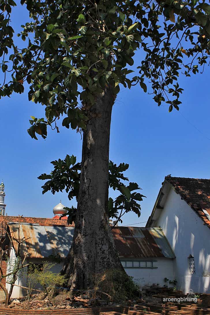 makam kyai telingsing sunggingan kudus