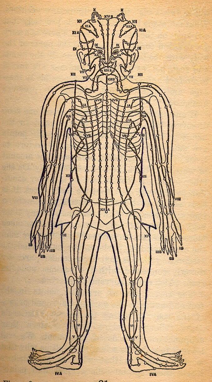 Энергетические меридианы тела человека схема. Меридианы в китайской медицине схема. Энергетические меридианы человека китайская медицина. Меридианы человека. Каналы организма человека.
