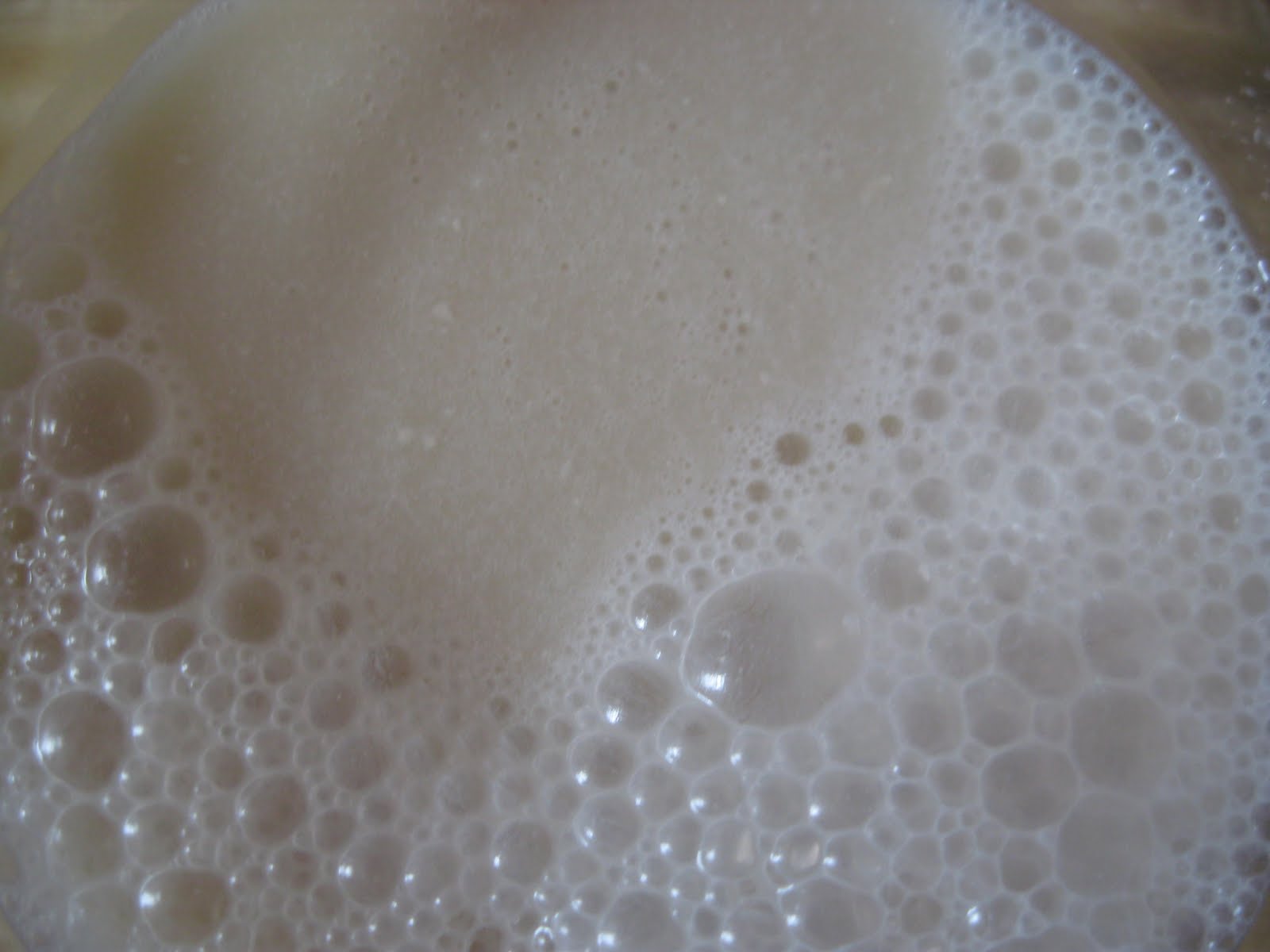 Vegan on a Shoestring Almond Milk Taste Test