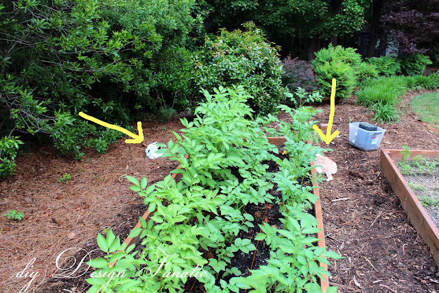 install a simple drip irrigation system, drip irrigation kit, backyard